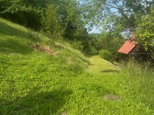 Prodej zahrady, Zlín, 888 m2