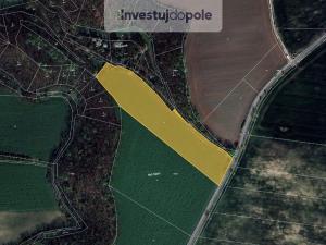 Prodej pole, Holubice - Kozinec, 10992 m2
