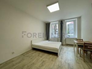 Pronájem bytu 1+kk, Brno, Bratislavská, 31 m2