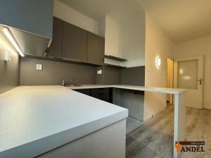 Pronájem bytu 1+kk, Havířov, Marušky Kudeříkové, 22 m2