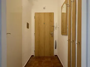 Pronájem bytu 1+kk, Havířov, Marušky Kudeříkové, 22 m2
