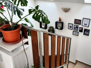 Prodej rodinného domu, Loštice, Ve Stráni, 133 m2