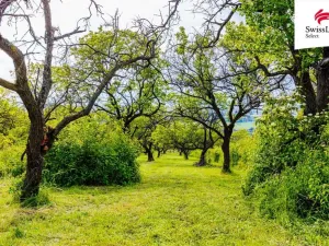 Prodej komerčního pozemku, Židlochovice, 3876 m2