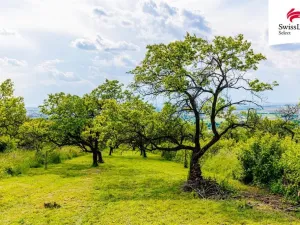 Prodej komerčního pozemku, Židlochovice, 3876 m2