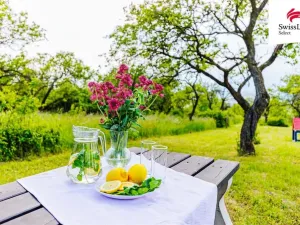 Prodej komerčního pozemku, Židlochovice, 3876 m2