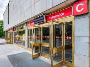 Pronájem bytu 3+kk, Praha - Holešovice, U průhonu, 75 m2
