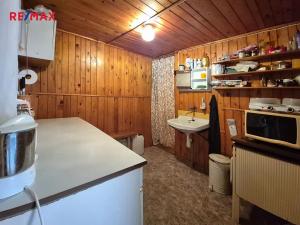 Prodej pozemku pro bydlení, Borušov, 35 m2