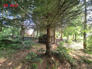Prodej pozemku pro bydlení, Borušov, 35 m2
