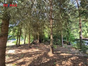 Prodej pozemku pro bydlení, Borušov, 35 m2