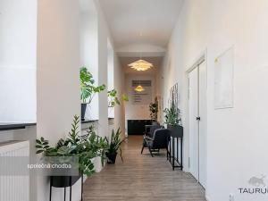 Pronájem kanceláře, Plzeň, Kopeckého sady, 22 m2