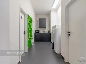Pronájem kanceláře, Plzeň, Kopeckého sady, 22 m2