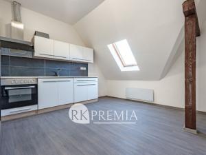 Prodej vícegeneračního domu, Ústí nad Labem - Krásné Březno, Drážďanská, 534 m2