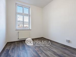 Prodej vícegeneračního domu, Ústí nad Labem - Krásné Březno, Drážďanská, 534 m2