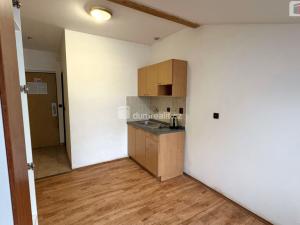 Pronájem bytu 1+kk, Suchdol, 18 m2