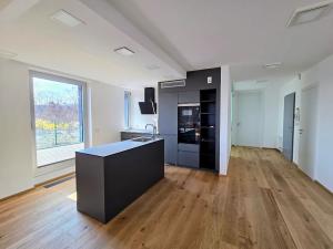 Pronájem bytu 3+kk, Praha - Smíchov, U Dívčích hradů, 123 m2