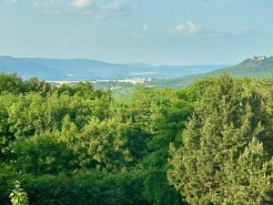 Prodej bytu 3+1, Teplice, Habrová, 75 m2