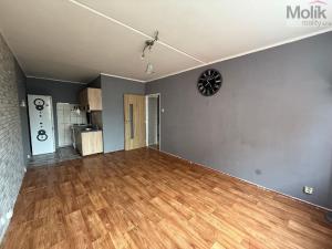 Pronájem bytu 2+kk, Most, Jana Kříže, 40 m2