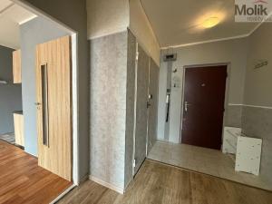 Pronájem bytu 2+kk, Most, Jana Kříže, 40 m2