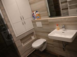 Pronájem bytu 1+kk, Krnov, Jesenická, 40 m2