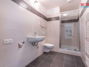 Pronájem bytu 2+kk, Plzeň, Stehlíkova, 55 m2