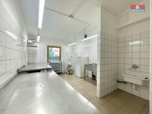 Pronájem restaurace, Teplice, Duchcovská, 75 m2