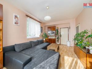 Prodej bytu 2+1, Česká Třebová, Habrmanova, 50 m2