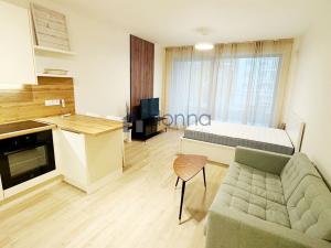 Pronájem bytu 1+kk, Praha, Tetauerova, 44632 m2