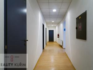 Pronájem bytu 1+kk, Brno, Cejl, 18 m2
