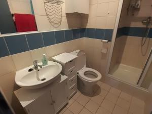 Pronájem bytu 1+kk, Brno, Cejl, 18 m2