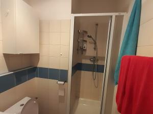 Pronájem bytu 1+kk, Brno, Cejl, 18 m2