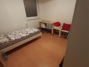 Pronájem bytu 1+kk, Brno, Cejl, 18 m2