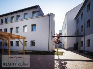 Pronájem bytu 1+kk, Brno, Cejl, 18 m2