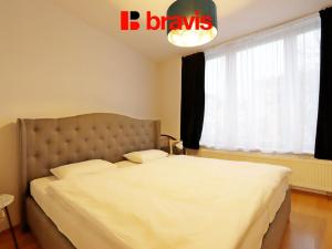 Pronájem bytu 2+kk, Brno - Trnitá, Spálená, 50 m2