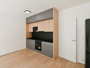 Pronájem bytu 1+kk, Praha, Na hvězdárně, 36 m2