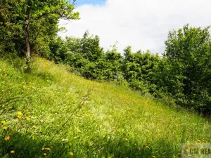 Prodej chaty, Stražisko - Maleny, 36 m2