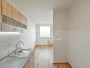 Pronájem bytu 1+1, Praha - Libeň, Podvinný mlýn, 53 m2