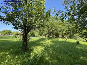 Prodej rodinného domu, Hladké Životice, Oderská, 160 m2