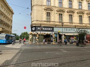 Pronájem bytu 4+1, Brno, Česká, 220 m2