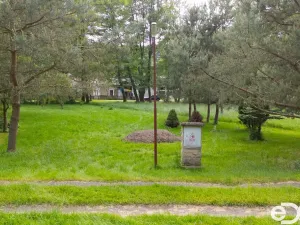 Prodej zahrady, Horní Bukovina, 1146 m2