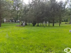 Prodej zahrady, Horní Bukovina, 267 m2