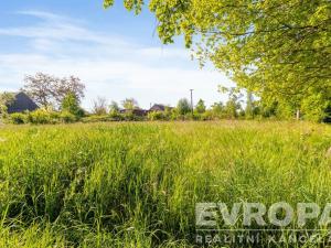 Prodej zemědělské usedlosti, Golčův Jeníkov - Stupárovice, Stupárovice, 10714 m2