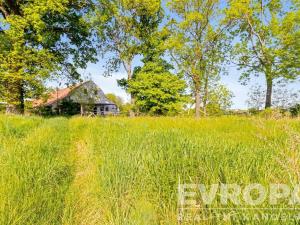 Prodej zemědělské usedlosti, Golčův Jeníkov - Stupárovice, Stupárovice, 10714 m2
