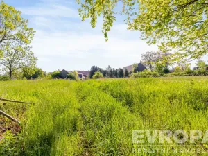 Prodej zemědělské usedlosti, Golčův Jeníkov - Stupárovice, Stupárovice, 100 m2