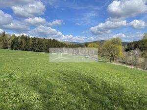 Prodej ubytování, Zbytiny - Blažejovice, 453 m2