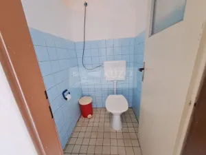 Prodej ubytování, Zbytiny - Blažejovice, 453 m2