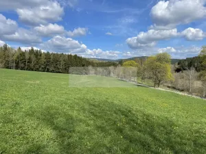 Prodej ubytování, Zbytiny - Blažejovice, 453 m2