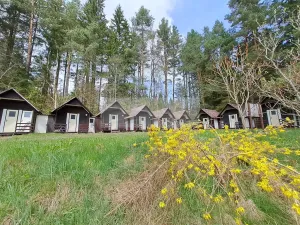 Prodej ubytování, Zbytiny - Blažejovice, 453 m2