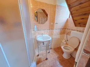 Prodej ubytování, Zbytiny - Blažejovice, 453 m2