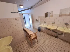 Prodej ubytování, Zbytiny - Blažejovice, 453 m2