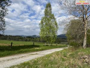 Prodej komerčního pozemku, Nová Pec, 3286 m2